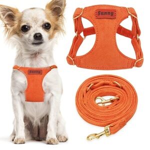 Dog Harness & Leash